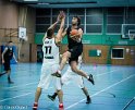 IMG_6495