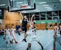 IMG_6554