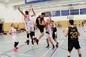 IMG_9038